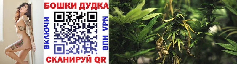 Шишки марихуана MAZAR  shop наркотические препараты  Морозовск  наркота 